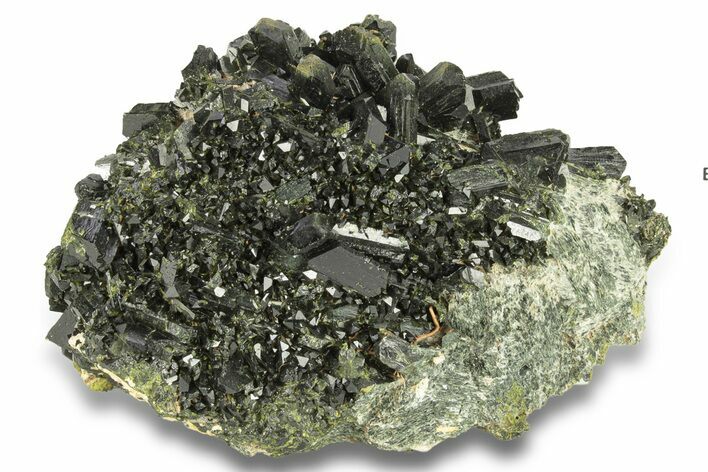 Lustrous, Epidote Crystal Cluster on Actinolite - Pakistan #257758